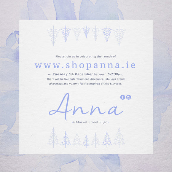 Anna's website festive launch party