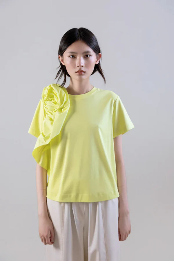 Psophia Shirt 2782 (Other Colours)