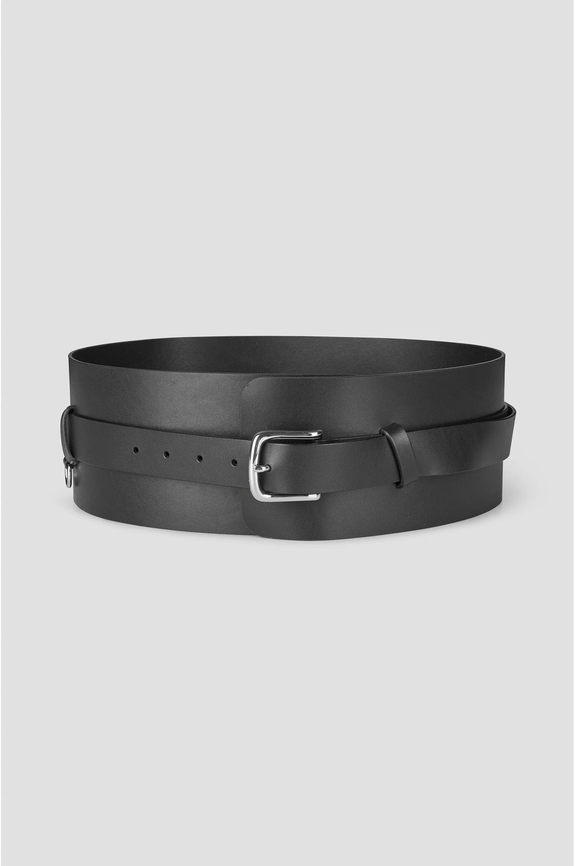Diversity Belt 