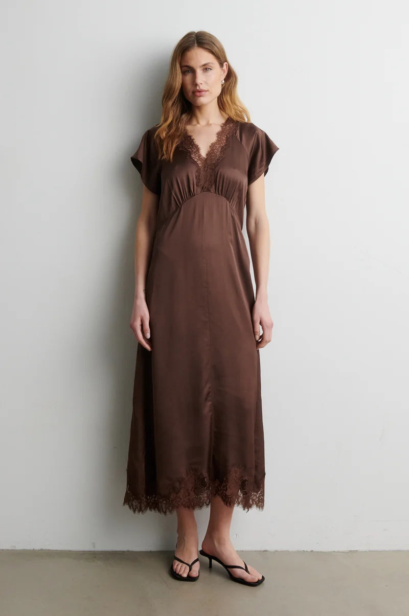 Laceria Lace Dress