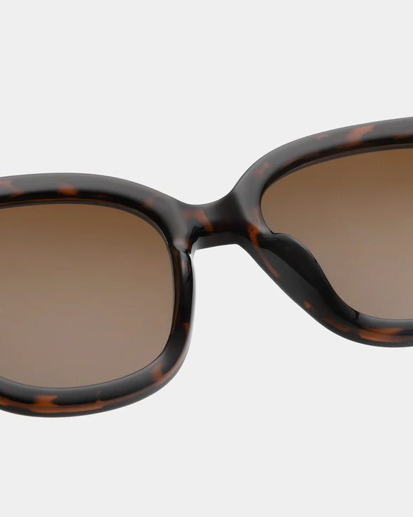 Billy Demi Tortoise Sunglasses