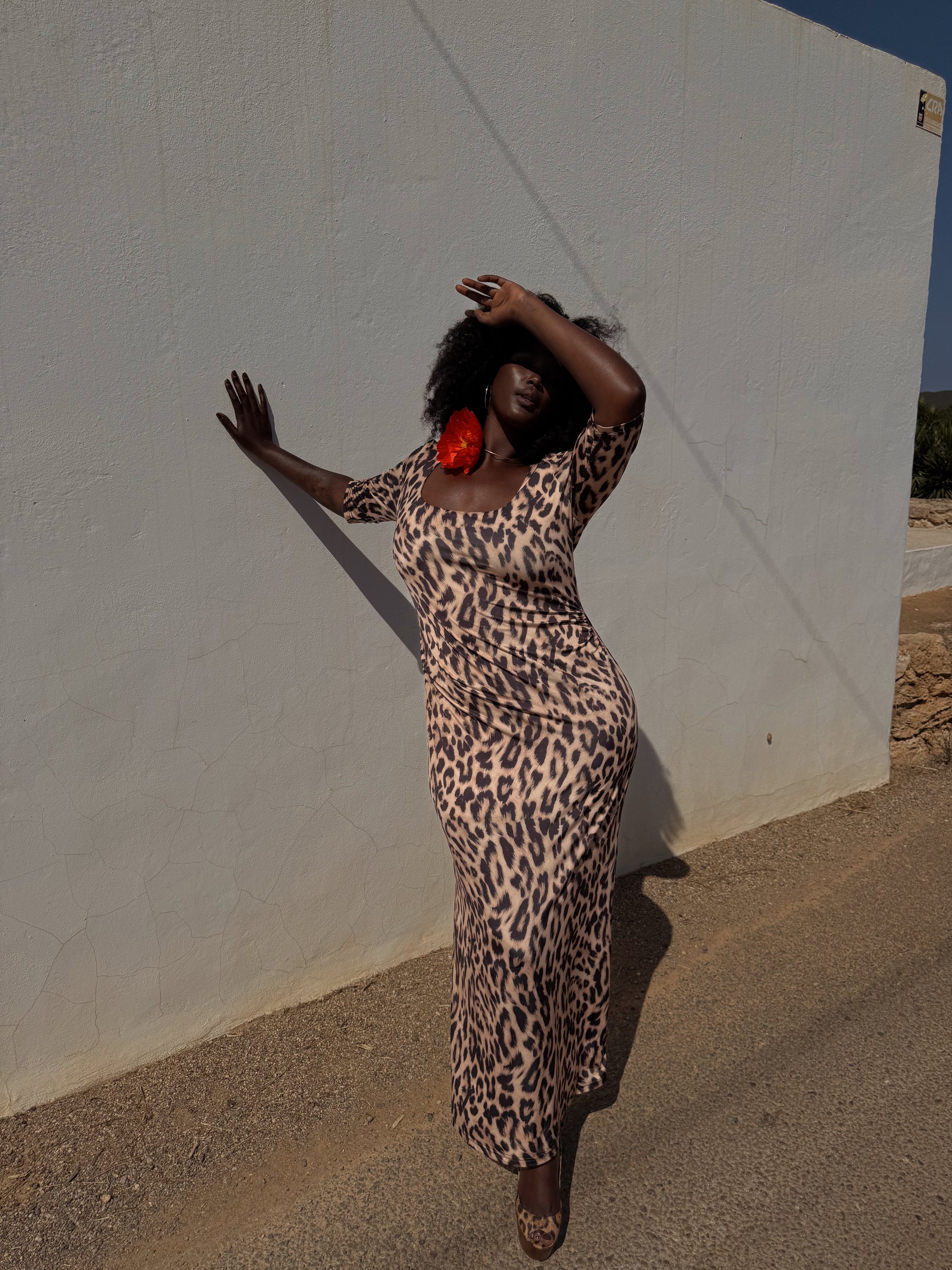 Never Fully Dressed Iris Leopard Dress
