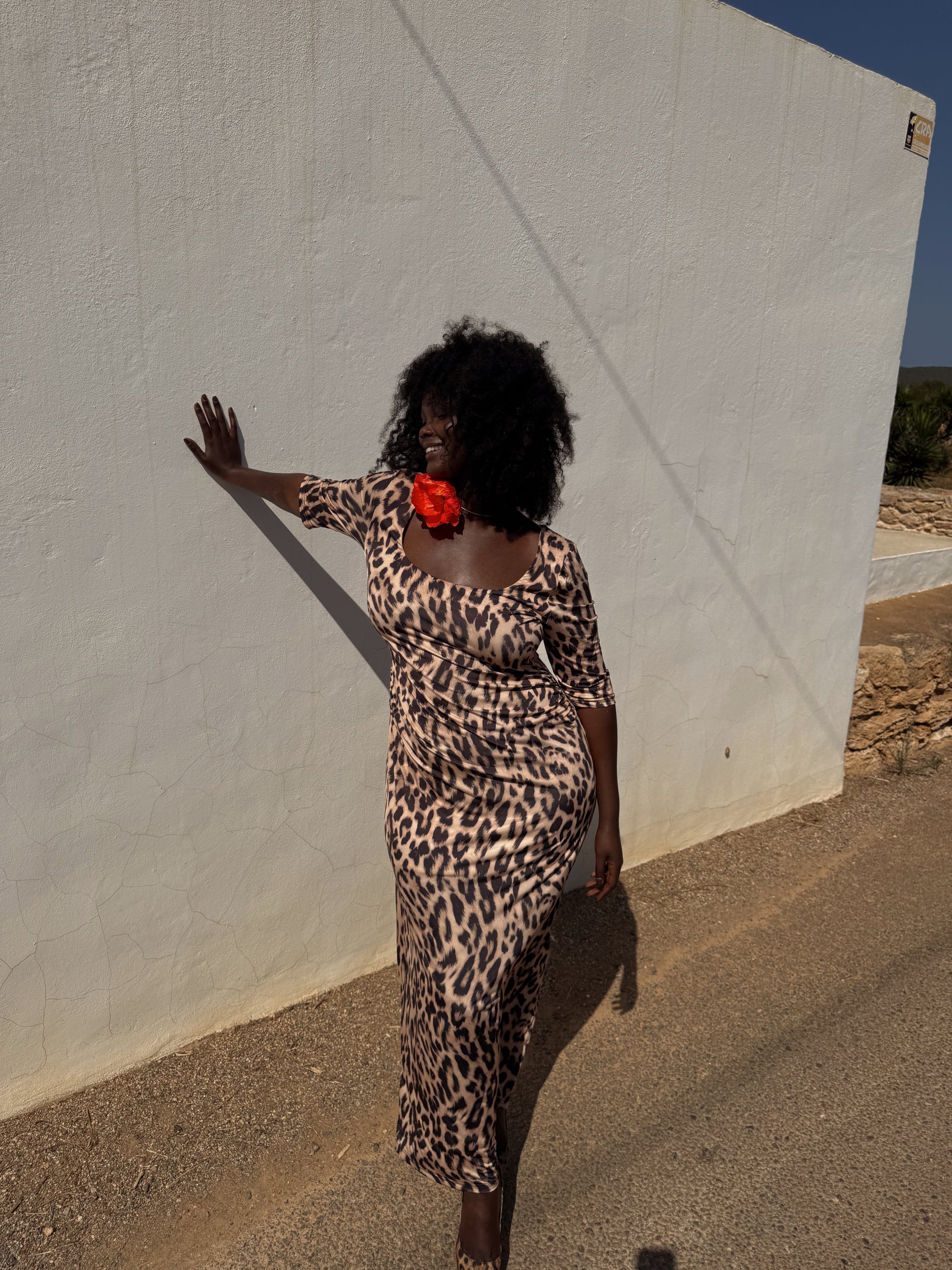 Never Fully Dressed Iris Leopard Dress